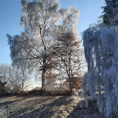 Anno- Wohlfuehlidylle By Interhome * Kirchdorf im Wald