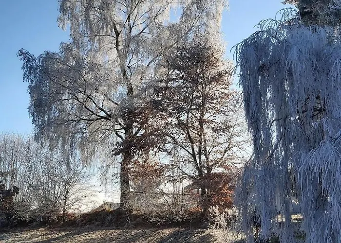 Anno- Wohlfuehlidylle By Interhome * Kirchdorf im Wald